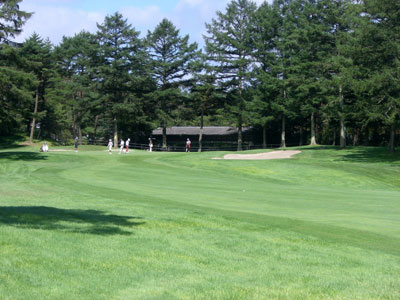 木のある場所、大きさ、密集具合&hellip;錯覚を生むものを考え出したらきりがありません。